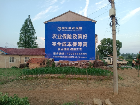 崇阳墙体广告的优劣势你知道吗?